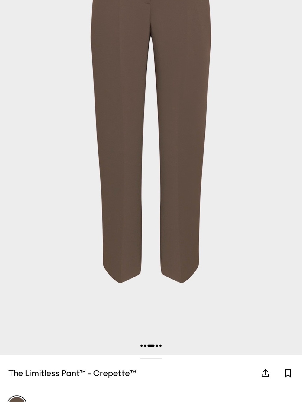 Aritzia Wide-Leg Pants in Brown